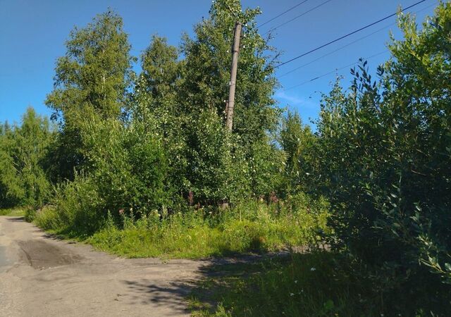 ул Карла Либкнехта Олонецкое городское поселение фото