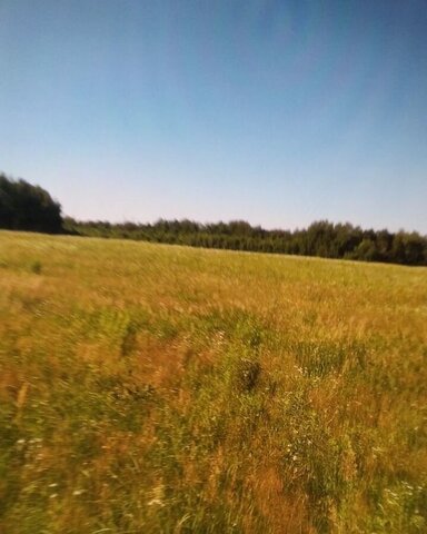 земля с Касьяново сельское поселение Поздняково, Тульская область, Белев фото