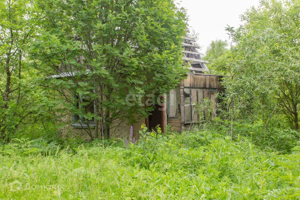 земля р-н Тобольский садоводческое товарищество Возрождение фото 3