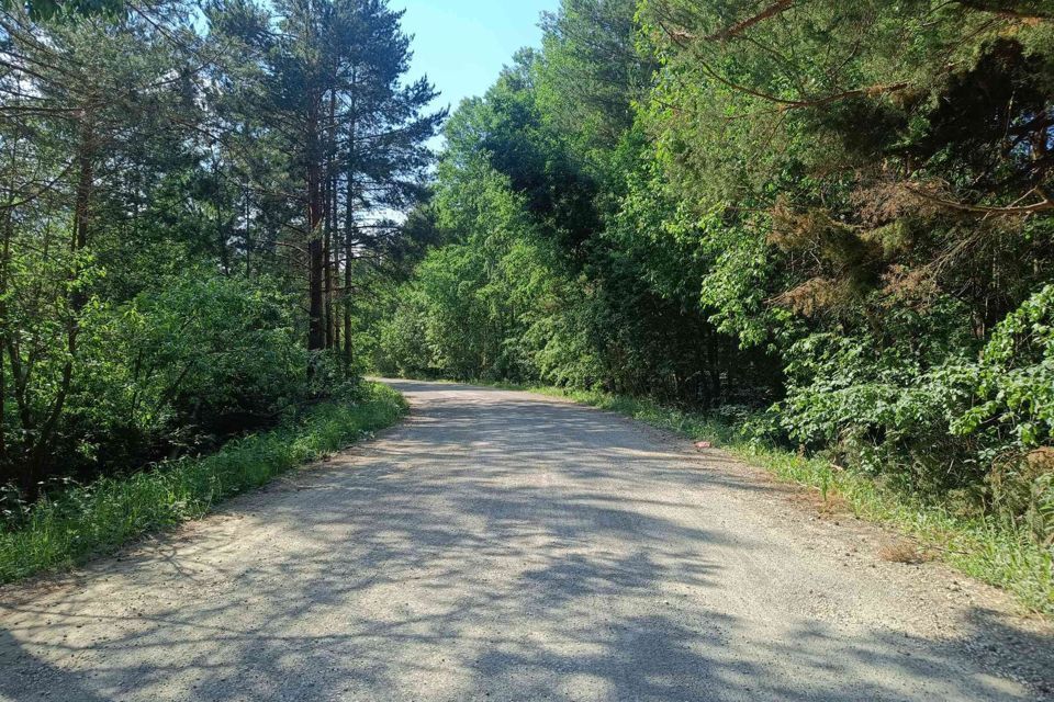 земля г Полевской д Раскуиха ул Центральная Полевской городской округ фото 2