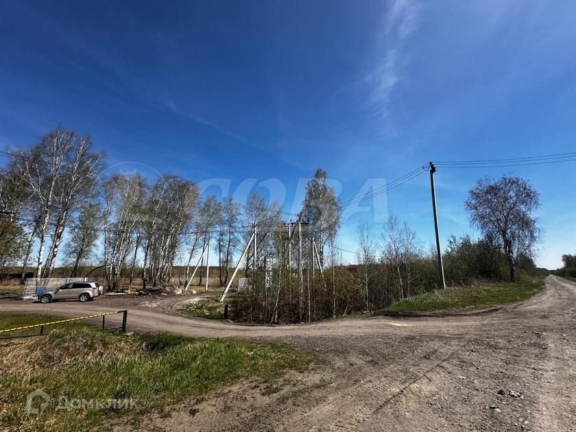 земля г Тюмень городской округ Тюмень, ДНТСН Зелёный Бор фото 4