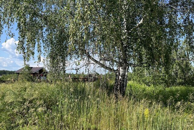 коттеджный посёлок Теренкуль, Озёрная улица фото