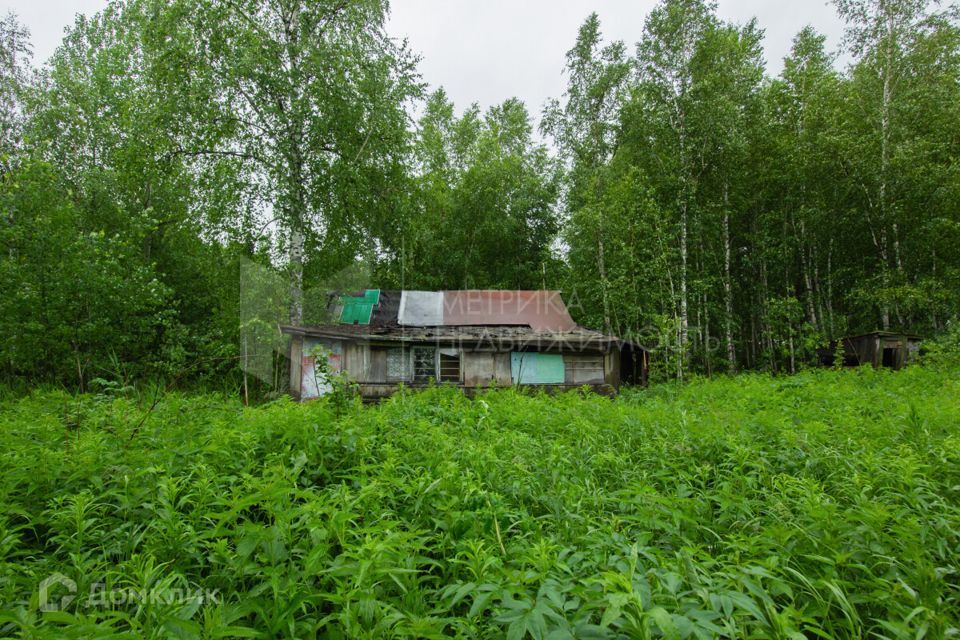 земля р-н Нижнетавдинский садоводческое некоммерческое товарищество Разбахта фото 3