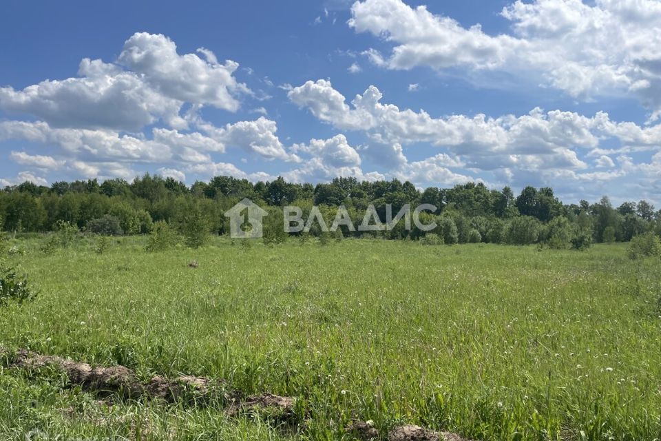 земля г Нижний Новгород д Новопавловка ул Новопавловская городской округ Нижний Новгород фото 4