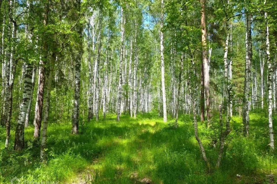 земля р-н Тереньгульский с Подкуровка ул Совхозная 2 Подкуровское сельское поселение фото 1