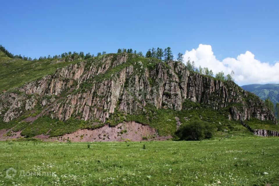 земля р-н Усть-Коксинский село Катанда фото 1