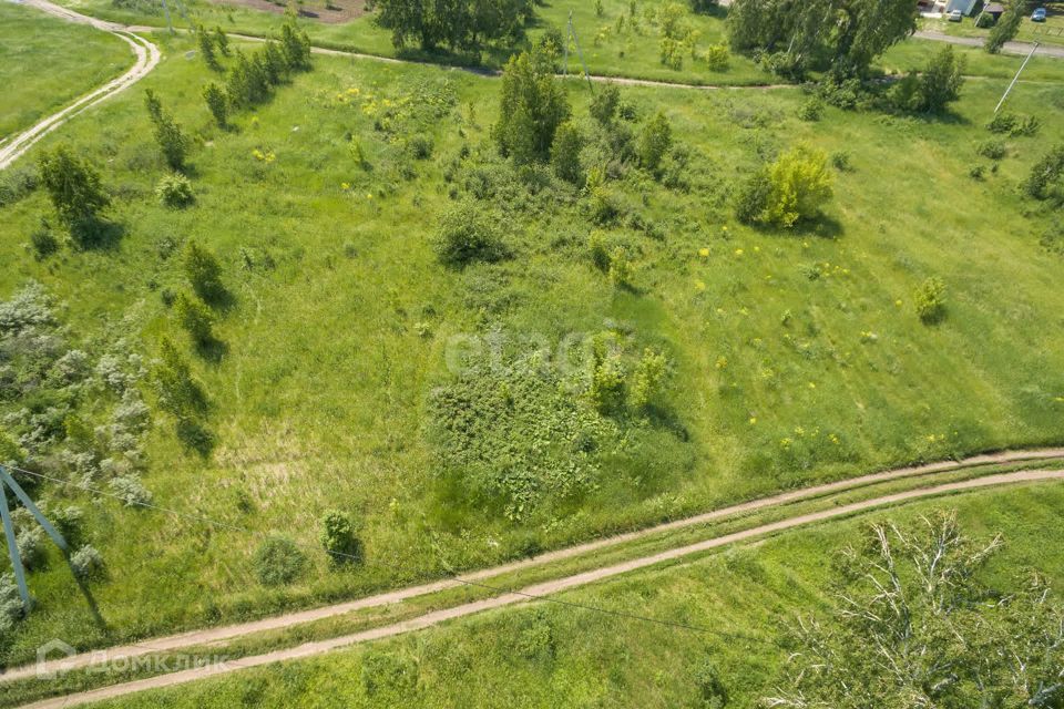 земля р-н Первомайский с Санниково СНТ Овощевод фото 4