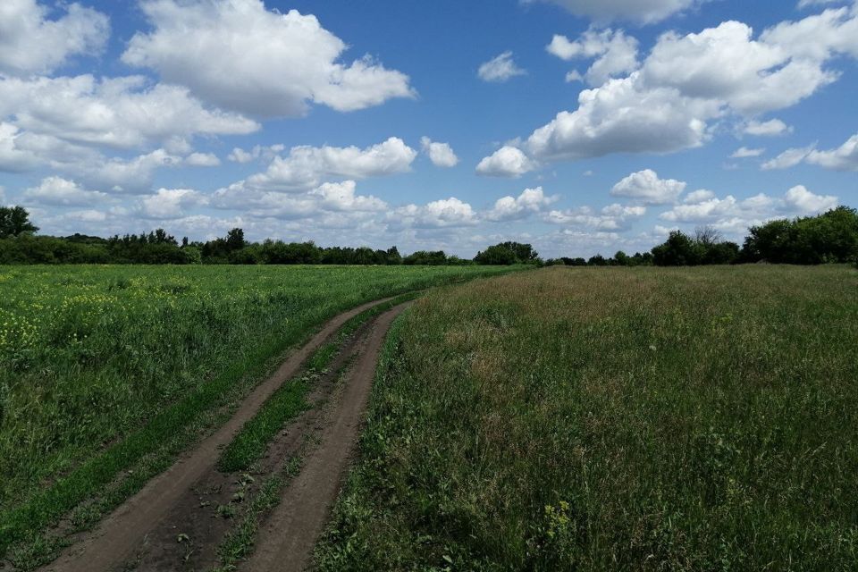 земля р-н Должанский село Вышнее Ольшаное фото 5