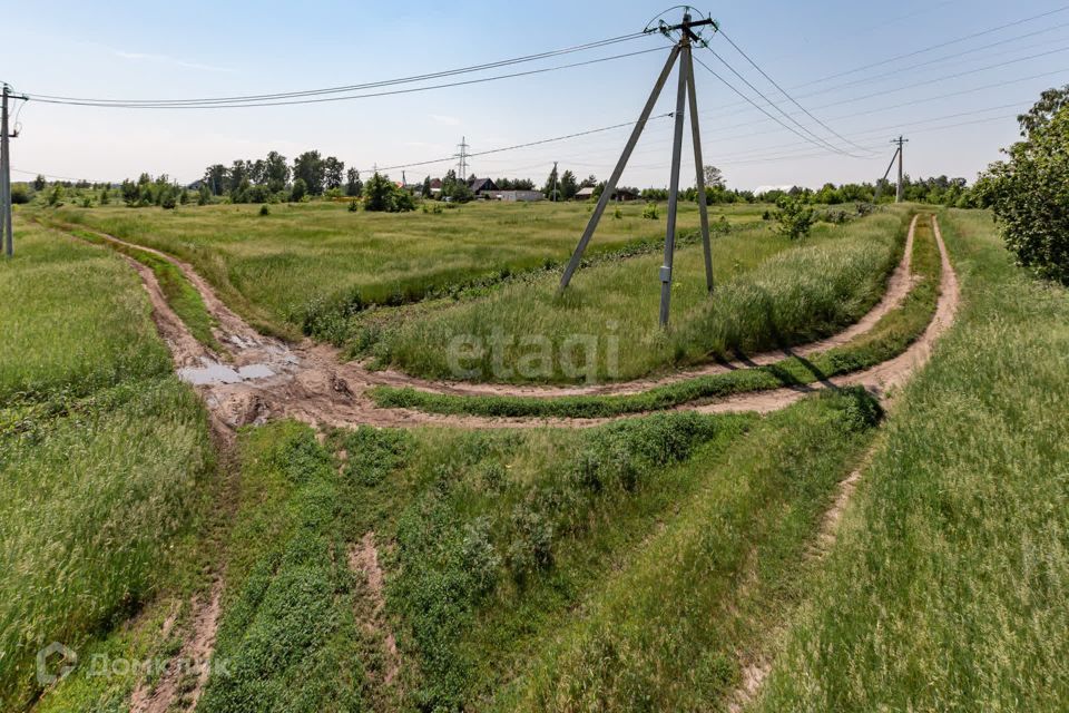 земля р-н Первомайский с Санниково СНТ Овощевод фото 5