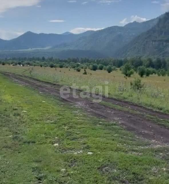 земля р-н Чемальский село Узнезя фото 6