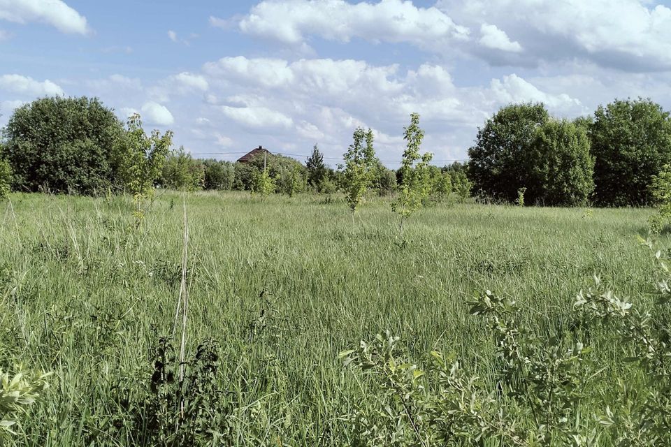 земля городской округ Воскресенск Сосновый бор фото 1