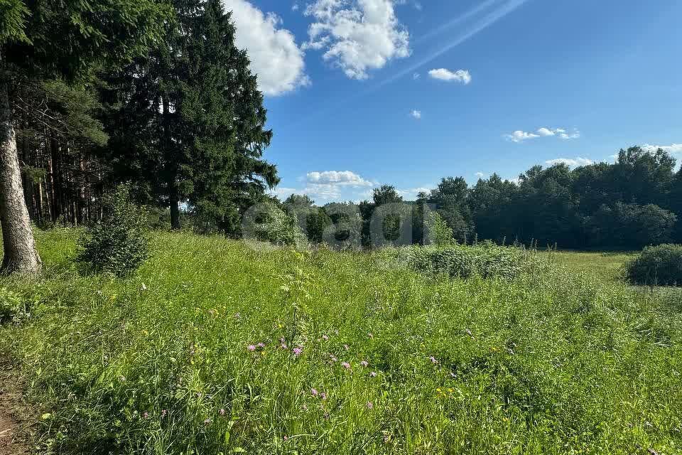 земля городской округ Подольск деревня Лаговское фото 4