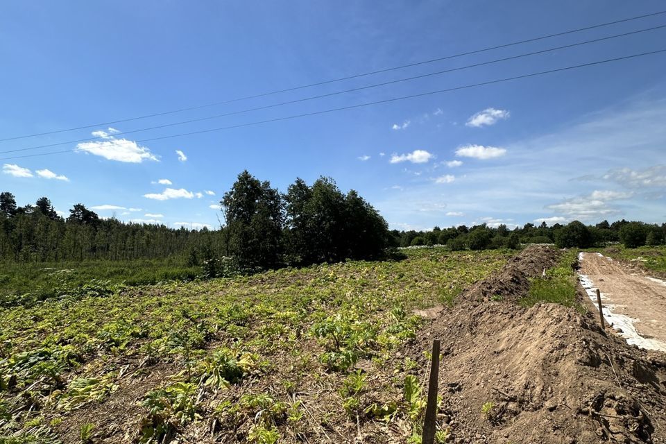 земля р-н Лужский фото 3