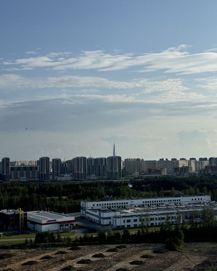 квартира г Санкт-Петербург метро Озерки наб Реки Каменки 25 округ Коломяги фото 16