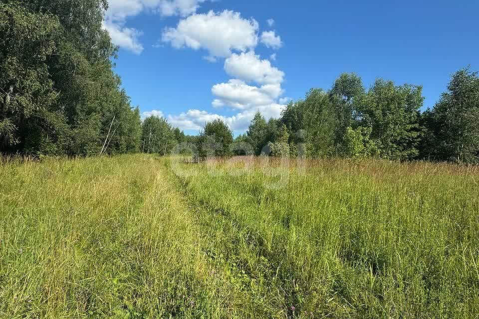 земля городской округ Подольск деревня Лаговское фото 8