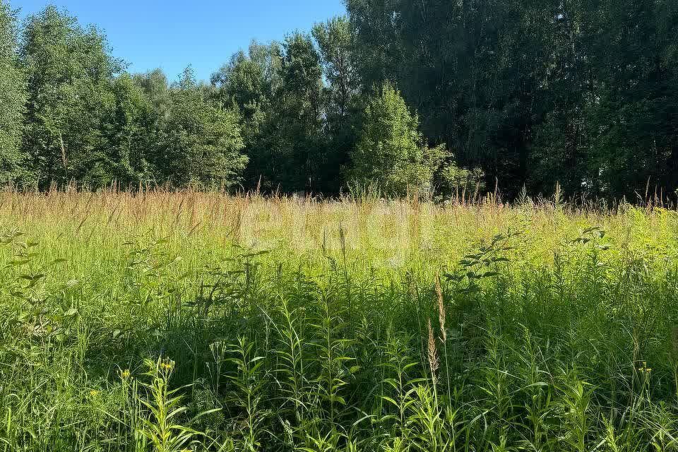 земля городской округ Подольск деревня Лаговское фото 9