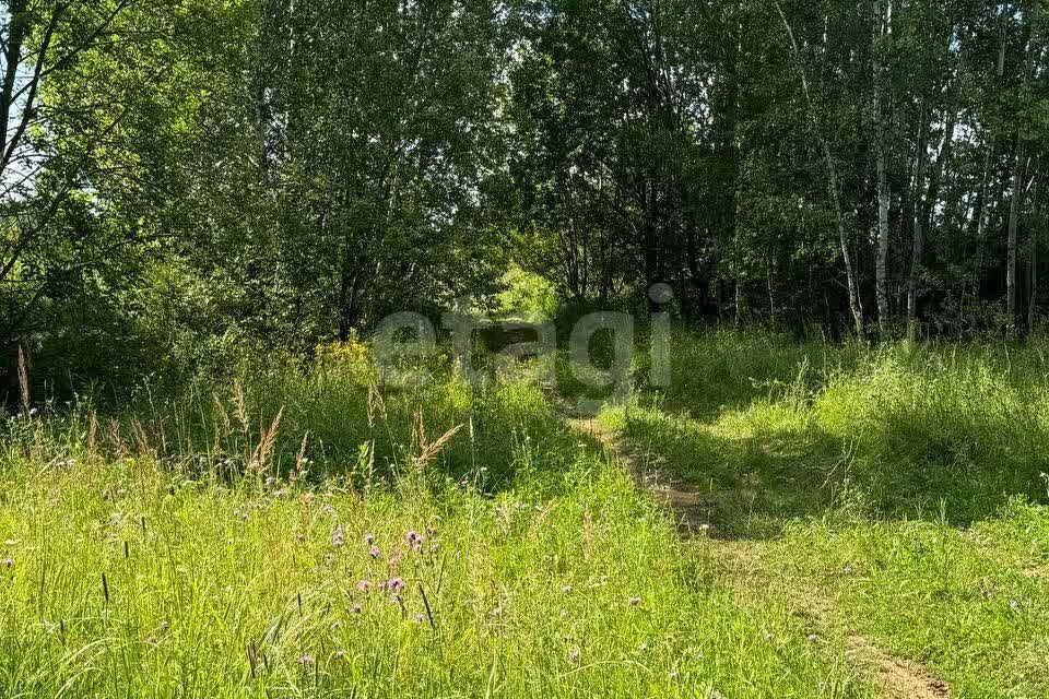 земля городской округ Подольск деревня Лаговское фото 7