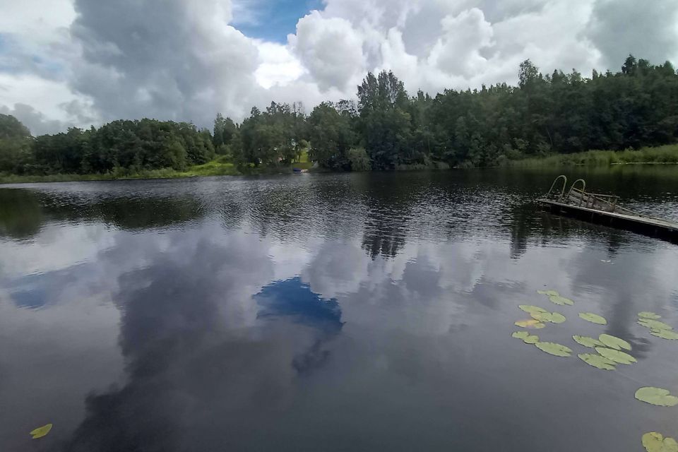 земля р-н Лужский фото 6