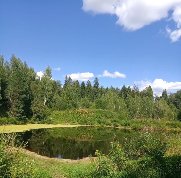 дом городской округ Клин д Колосово снт Колос фото 7