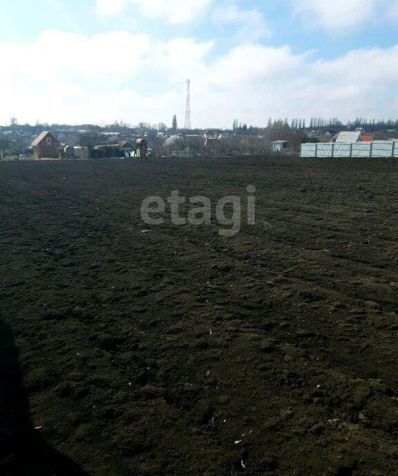 земля р-н Волоконовский п Волоконовка 16-й километр, автодорога Белгород - Шебекино фото 1