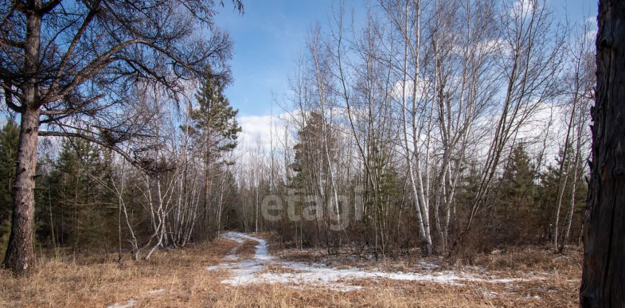 земля р-н Читинский п Забайкальский фото 1