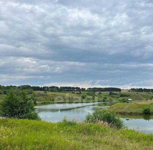 ул Запрудная Ишеевское городское поселение фото