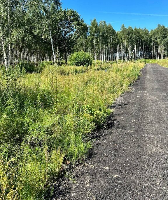 земля городской округ Дмитровский д Капорки Лобня фото 10