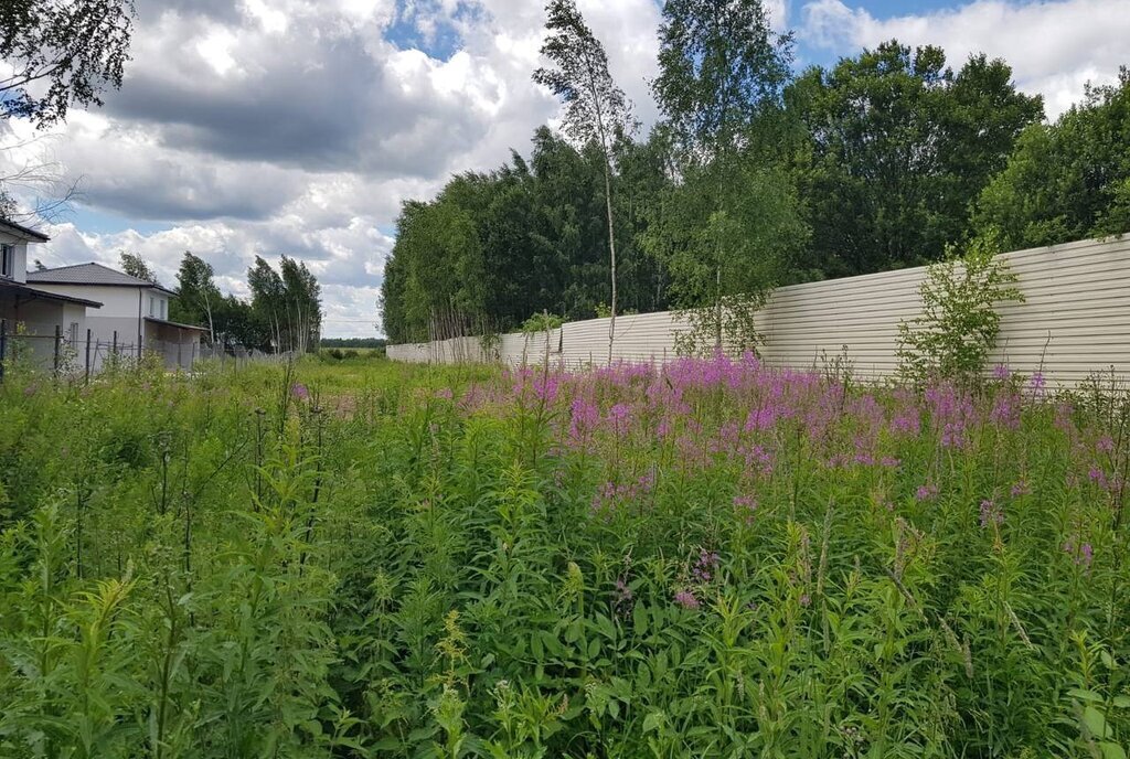 земля городской округ Дмитровский д Капорки Лобня фото 12