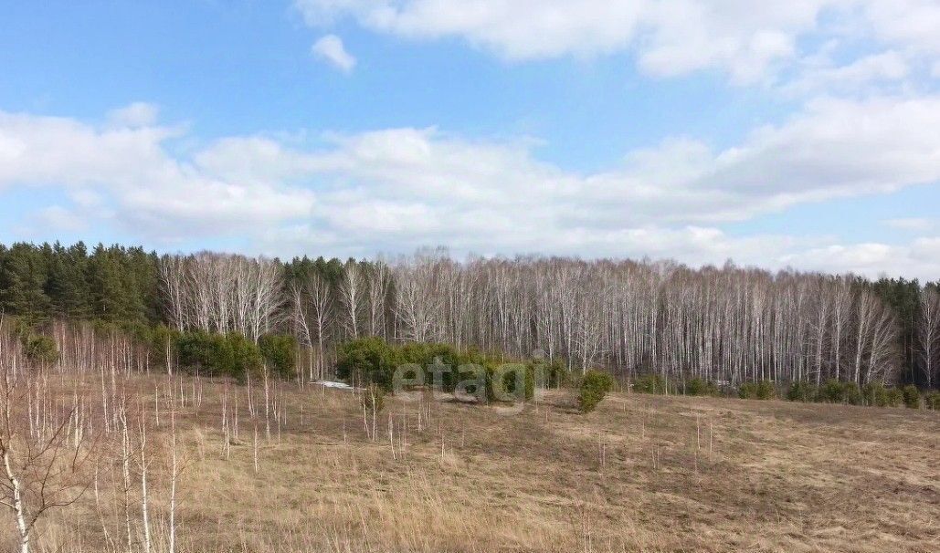 земля р-н Ленинск-Кузнецкий п Горняк фото 2