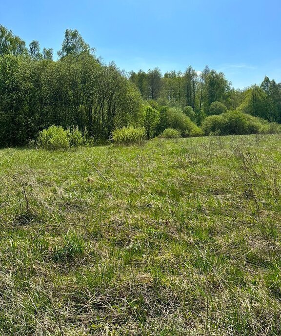 земля городской округ Серпухов д Акулово фото 10