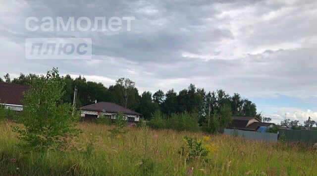 д Борисовское ул Тополиная 40 Коломна городской округ фото