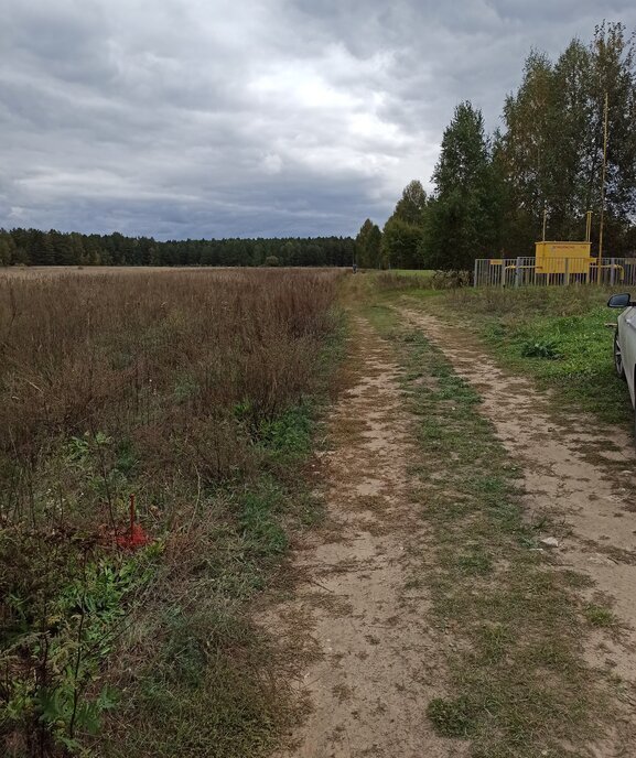 земля городской округ Шатура д Великодворье фото 10