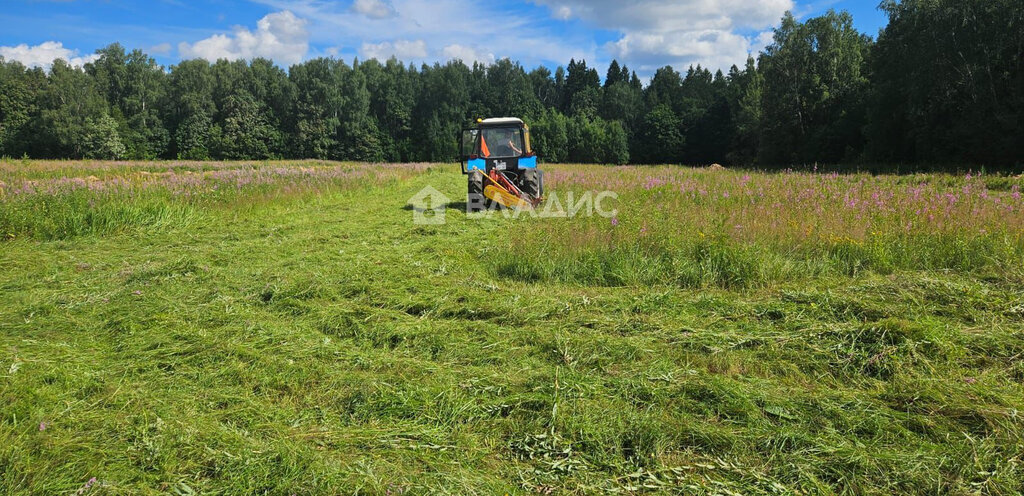 земля городской округ Мытищи д Фелисово коттеджный поселок Триумфальный, Лобня фото 3