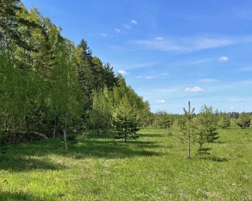 земля городской округ Щёлково д Булаково ул Восточная фото 3