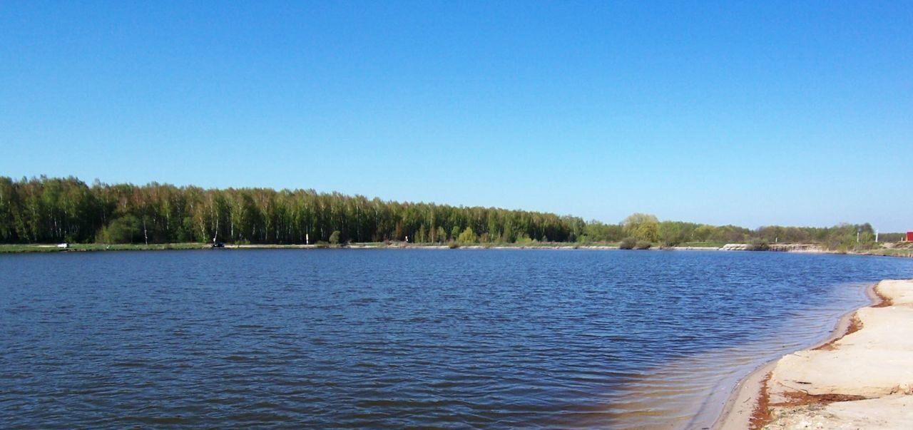 земля городской округ Чехов д Филипповское фото 16