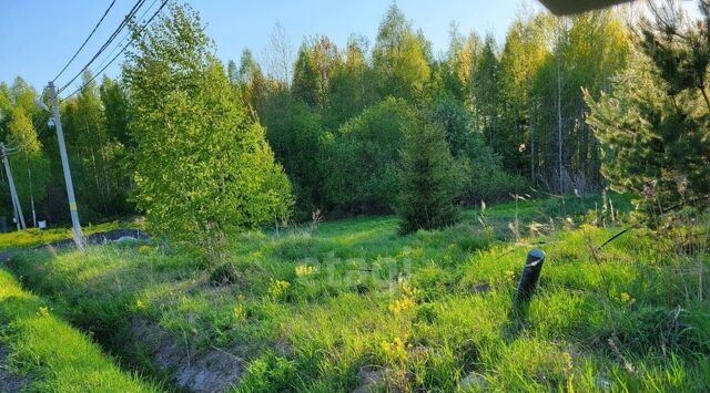 ул Апраксинская Мгинское городское поселение фото