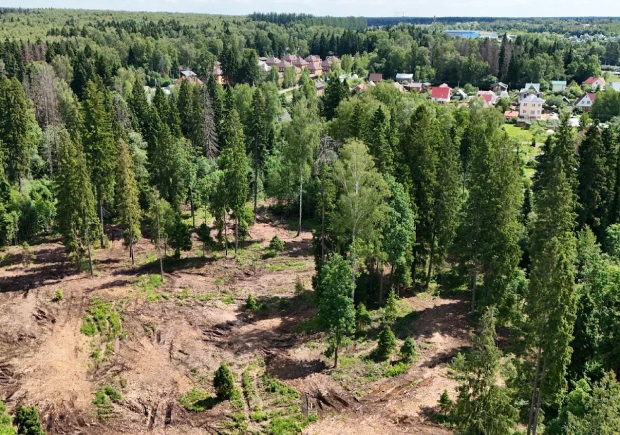 земля городской округ Солнечногорск д Бухарово 27А, г. о. Солнечногорск, Менделеево фото 13