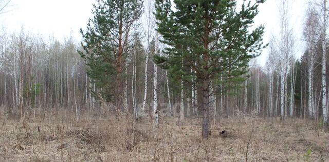 тер СТСН Трест Уралцветметразведка 76 фото