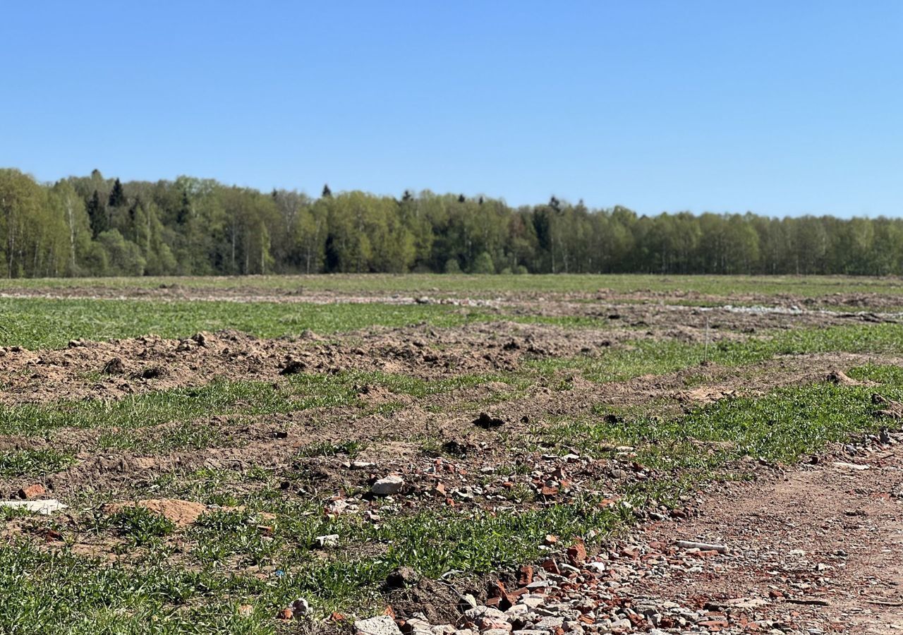 земля городской округ Сергиево-Посадский с Бужаниново Краснозаводск фото 7