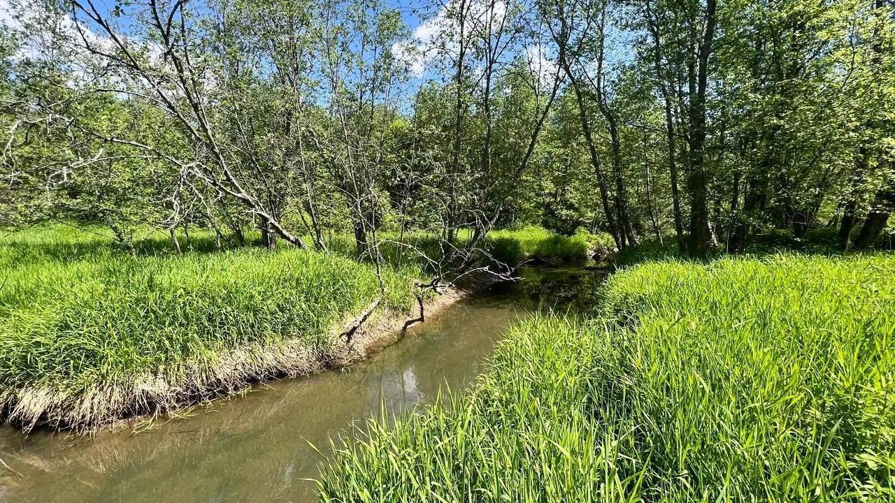 земля городской округ Истра п Глебовский Савельевское шоссе, городской округ Истра фото 3