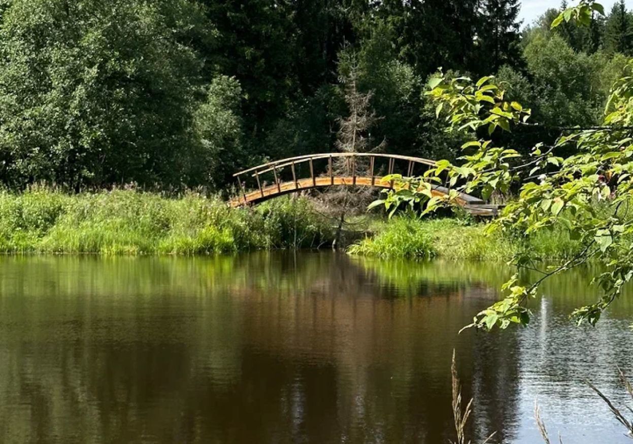 земля городской округ Солнечногорск рп Менделеево коттеджный пос. Альпийские Горки, 147, г. о. Солнечногорск фото 11