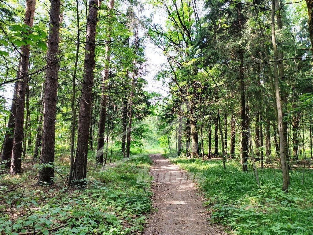 дом городской округ Ленинский п Горки Ленинские Домодедово, Дорожная улица фото 13