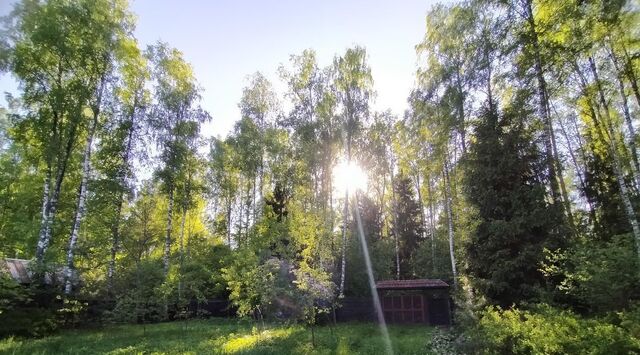 муниципальное образование, 89, Петушинский район, Нагорное, Нива СНТ фото