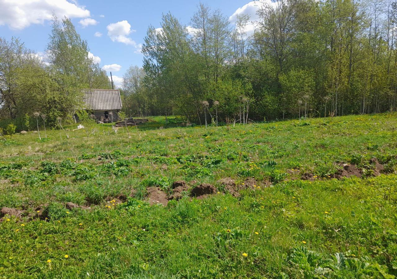 земля р-н Лужский п Толмачево Московское шоссе, 102 км, Ям-Тёсовское сельское поселение, д. Вяжищи, Центральная ул., 9 фото 7