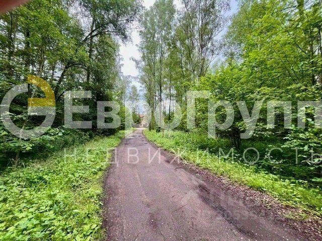 земля городской округ Одинцовский д Кезьмино ГП-2 тер фото 6