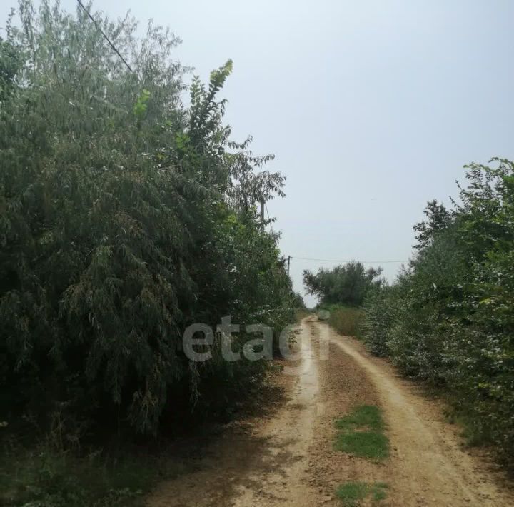 земля р-н Сакский пгт Новофедоровка снт Береговой СК фото 3