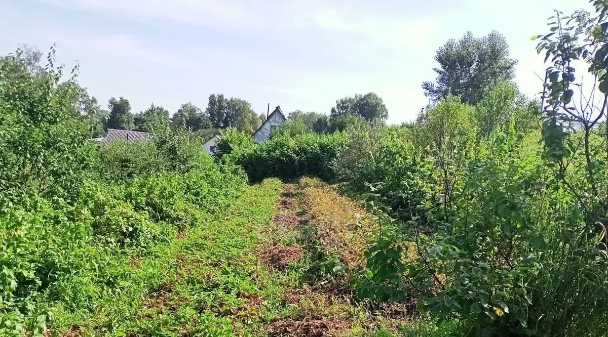 дом р-н Новокузнецкий с Славино ул Луговая фото 25