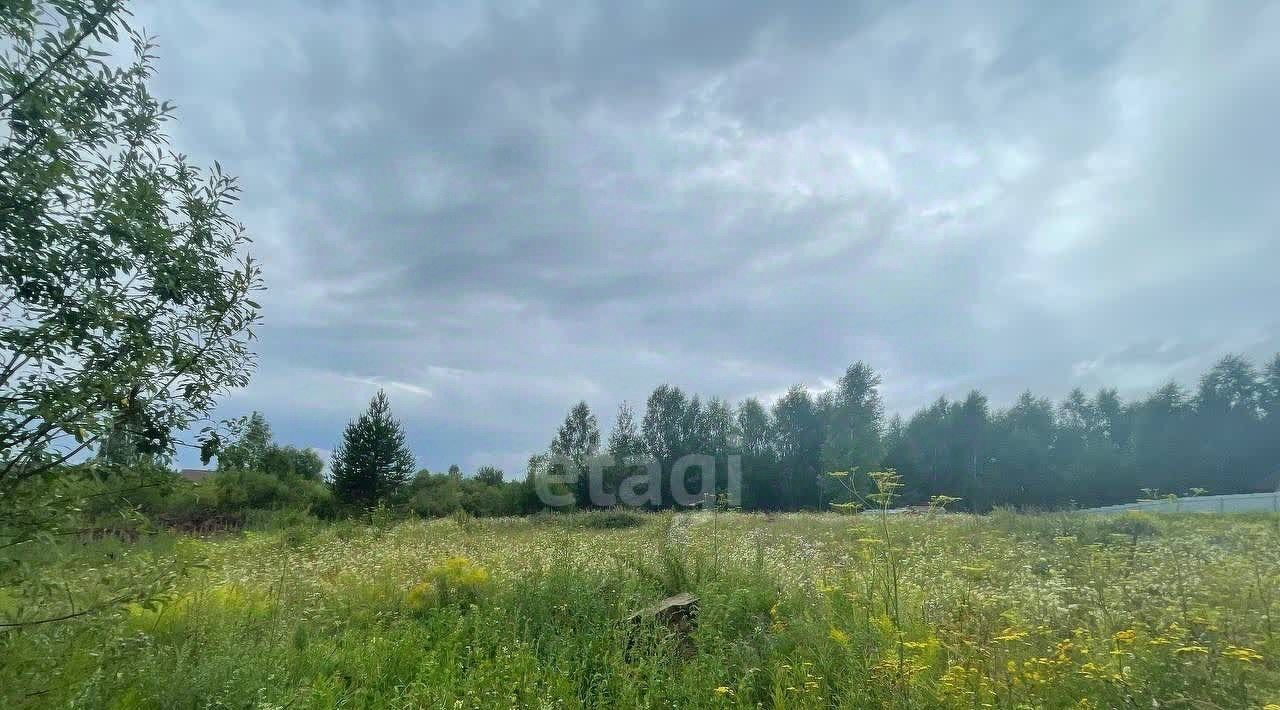 земля р-н Якшур-Бодьинский д Соловьи ул. Ольховая, Завьяловский район фото 6