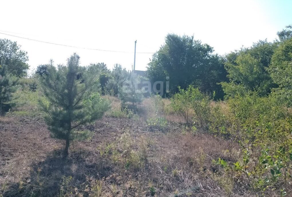 земля р-н Белгородский тер. ДНТ Феддеровское Головинское сельское поселение, 210 фото 9