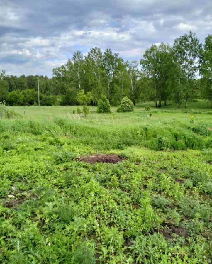 земля городской округ Чехов д Костомарово Чехов фото 3